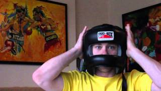 Pro Box Face Saver Head Guard Review [upl. by Yesnel268]