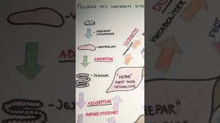 Farmakokinetik  pillens vej igennem systemet  Farmakologi [upl. by Yblocaj]