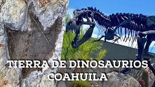 Coahuila Tierra de Dinosaurios En búsqueda de huellas y fósiles en el desierto [upl. by Sims263]