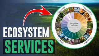 What are Ecosystem Services [upl. by Abil]