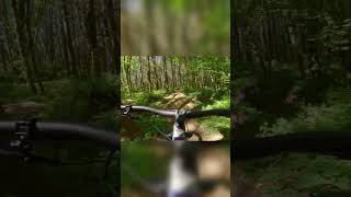 This Trail is SKETCHY mtb shorts fyp [upl. by Photima]