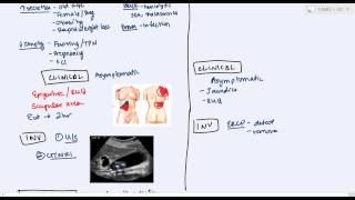 Gallbladder Diseases cholelithiasis choledecholithiasis cholecystitis cholangitis [upl. by Crutcher]