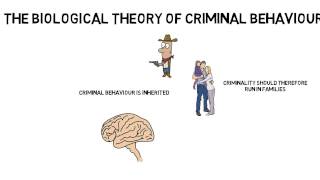 GCSE Psychology Criminal behaviour Biological theory [upl. by Berglund]