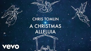 Chris Tomlin  His Name Is Wonderful Lyric Video Tomlin Christmas [upl. by Alley258]