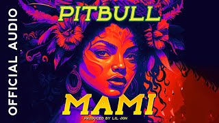 Pitbull  Mami Official Audio [upl. by Holzman422]