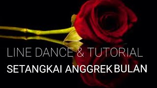 SETANGKAI ANGGREK BULAN  Line Dance Dance amp Tutorial [upl. by Geraint108]