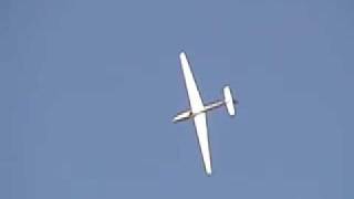 aerobatics in a MDM1FOX sailplane [upl. by Gauldin]