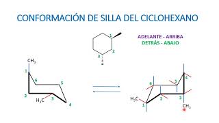 Conformaciones de silla representaciones [upl. by Seena518]