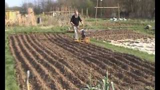 From seed to loaf part 1 of 2 allotment scale production of bread making wheat [upl. by Matelda795]