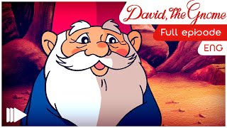 David the Gnome  23  A trip to Australia  Full Episode [upl. by Nedap6]