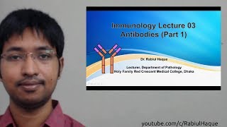 Immunology Lecture 03 Antibodies Part 1 HD [upl. by Yarod]