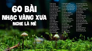 60 Bài Nhạc Vàng Xưa Nghe Một Lần Là Mê  LK Qua Cơn Mê Hoa Trinh Nữ [upl. by Saticilef]