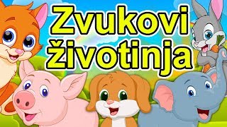 Zvukovi životinja  Dečija pesma o životinjama  Kako kažu životinje  Zvuci životinja  Animals [upl. by Witha835]