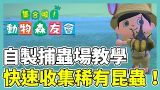 【集合啦！動物森友會】自製捕蟲場教學！高效率收集稀有昆蟲｜長戟大兜蟲、黃金鬼鍬形蟲｜動森攻略 [upl. by Niehaus]