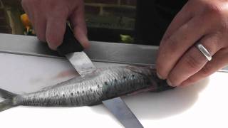 Passionate About Fish  How to prepare Sardines [upl. by Marko]