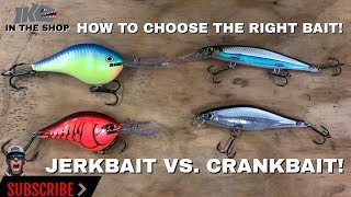 Jerkbait Vs Crankbait How to CHOOSE the RIGHT BAIT [upl. by Tami]