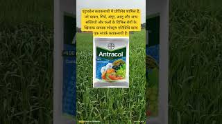 antracol contact fungicide। propineb। [upl. by Ylsel628]