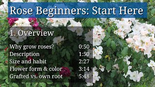 Introduction to Roses for Beginners [upl. by Adnilam]