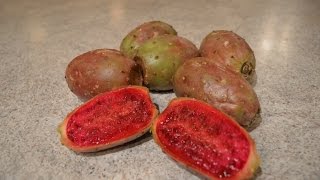 How to Prepare amp Eat Prickly Pears  aka Opuntia Cooking with Kimberly [upl. by Etteiluj592]