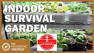 How to Grow an Indoor Survival Garden [upl. by Niknar]