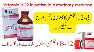 B12 Injection in Veterinary  Uses Benefits and Dosage for Livestock [upl. by Enelav]