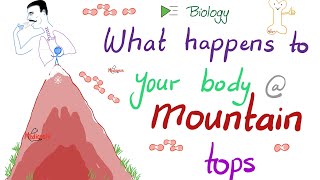 What happens to your body at the top of Mount Everest  Andrew Lovering [upl. by Afton233]