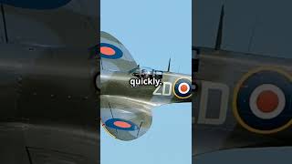 Spitfire vs Zero Epic Pacific Dogfights history aviation [upl. by Apollus]