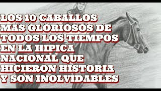 TOP 10 MEJORES CABALLOS DE LA HISTORIA HIPICA NACIONAL [upl. by Nnaeiram]