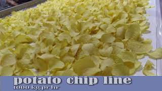 Automatic potato chip line 1000 kghr in operation  From Wintech Taparia Ltd India [upl. by Akina394]