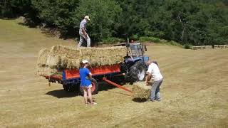 carica balle ERCOLINO con Landini 6860 [upl. by Moberg]