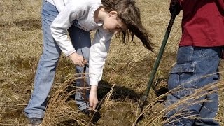 Planting a Seedling [upl. by Ennairod695]