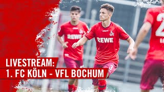 In VOLLER Länge 1 FC KÖLN  VFL Bochum  EFFZEH  Testspiel live [upl. by Durand]