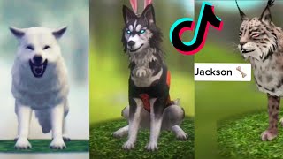 WildCraft TikTok  Funny Compilation [upl. by Hesther]