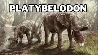 Platybelodon Elephants Weirdest Ancestor [upl. by Etienne]