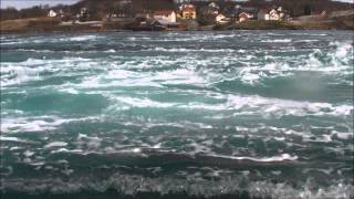 Riding the whirlpools of the worlds strongest tidal current at Saltstraumen Norway [upl. by Faulkner732]