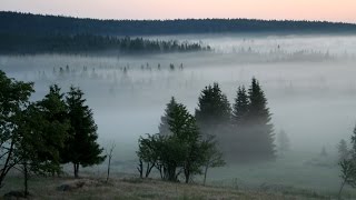 Šumava – národní park [upl. by Ientirb]