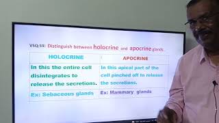 77HOLOCRINE amp APOCRINEDifference [upl. by Parthenia]