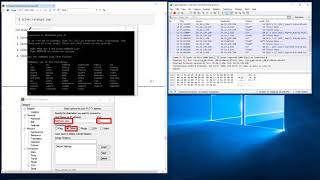 17  Compare Telnet and SSH in Wireshark [upl. by Julienne966]