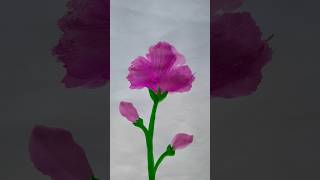 easy flower drawing 😀 youtubesorts art painting artwork [upl. by Clance]