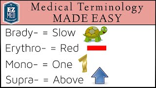 Medical and Nursing Terminology MADE EASY Prefixes Flashcard Tables [upl. by Viquelia]