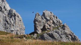 Bregenzerwald Bike und Hike Hochkünzelspitze von Schröcken Landsteg aus über die Biberacher Hütte [upl. by Enert]