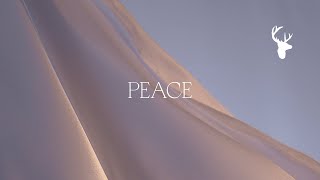 Peace Official Lyric Video  Bethel Music feat We The Kingdom  Peace [upl. by Nalrah711]