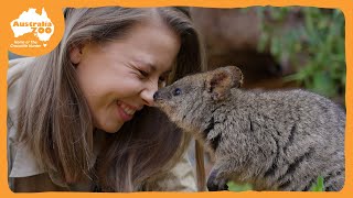 Our 3 new quokkas get their names  Australia Zoo Life [upl. by Nay]