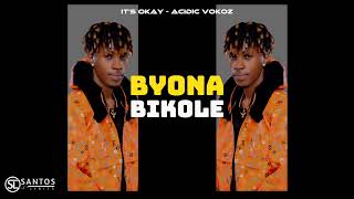 Acidic Vokoz  Its Okay Official Lyrics Video [upl. by Nosaes]