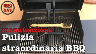 Pulizia straordinaria BBQ  Barbecue a tutto gas [upl. by Zurheide]