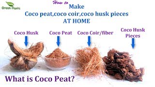 What is Coco peat amp How to Make Coco peat at Home QuickampEasy Way  Best Growing MediaGREEN PLANTS [upl. by Barlow746]