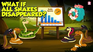 What If All Snakes Disappeared  The Importance of Snakes in the Ecosystem  The Dr Binocs Show [upl. by Reel450]