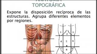 INTRODUCCIÓN A LA MORFOFISIOLOGÍA DRA ALEJANDRA FALÚ [upl. by Ydieh960]