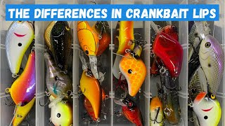 Crankbait Lips 101 How Each Lip Style Affects Lure Action [upl. by Normi]