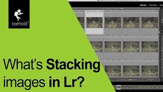 How to use the stacking feature in Lightroom [upl. by Seuqram]